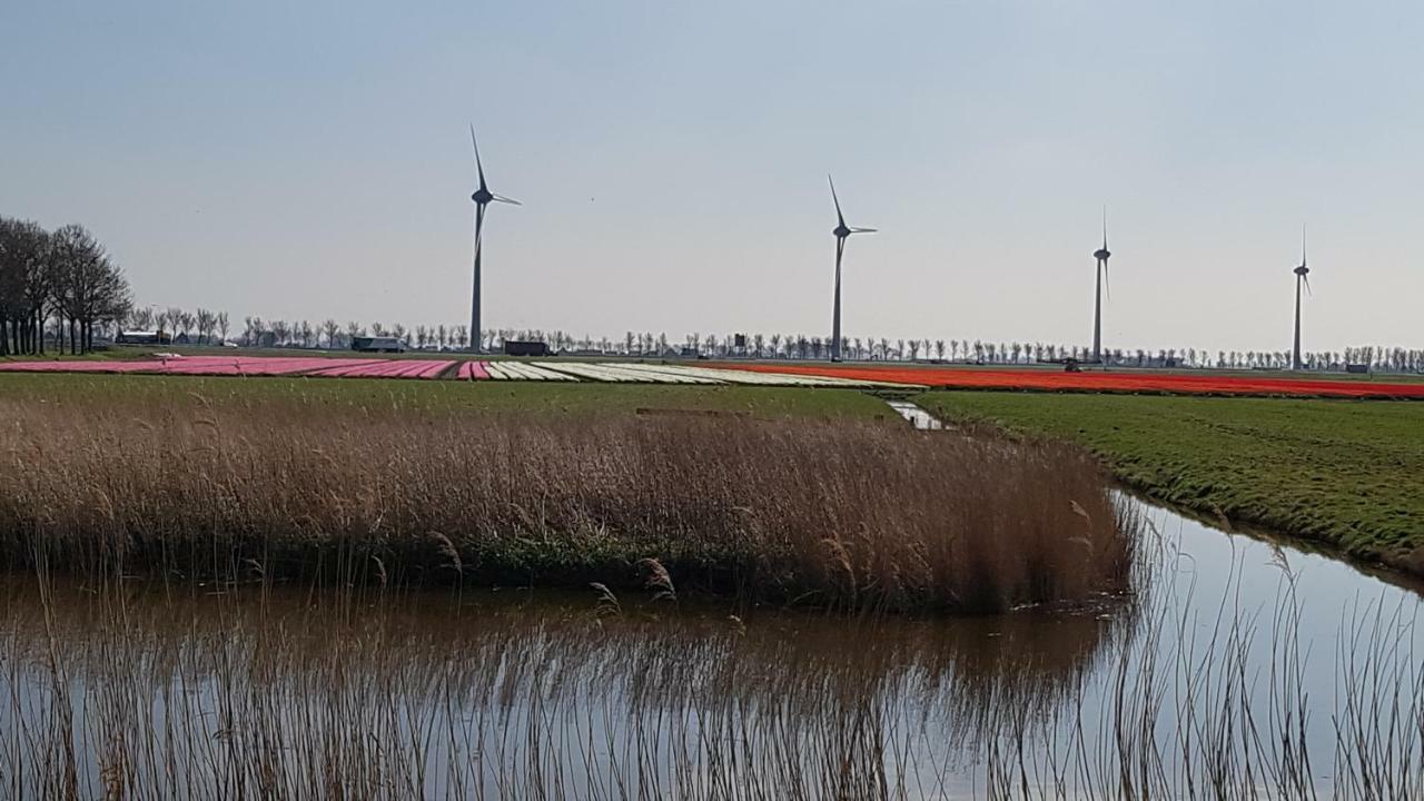 Vliet Huis Medemblik Exteriér fotografie